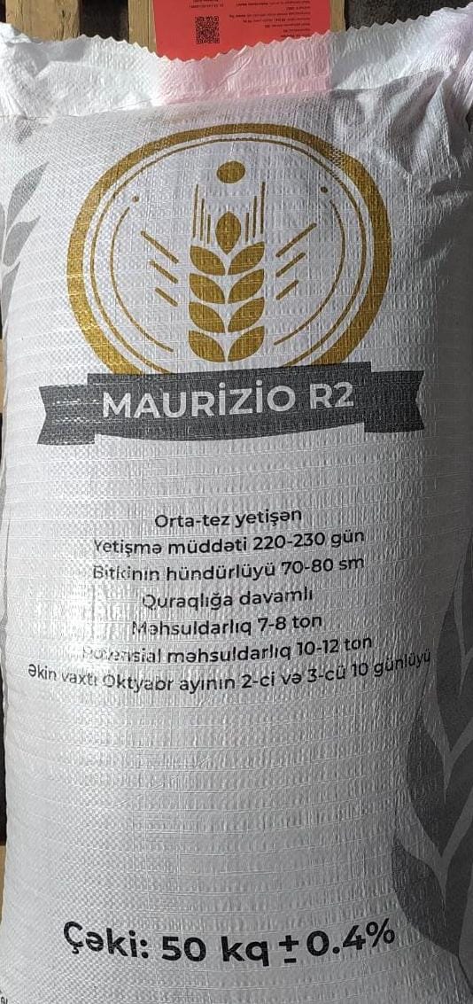 Maurizio Payızlıq yumşaq buğda Ortayetişən