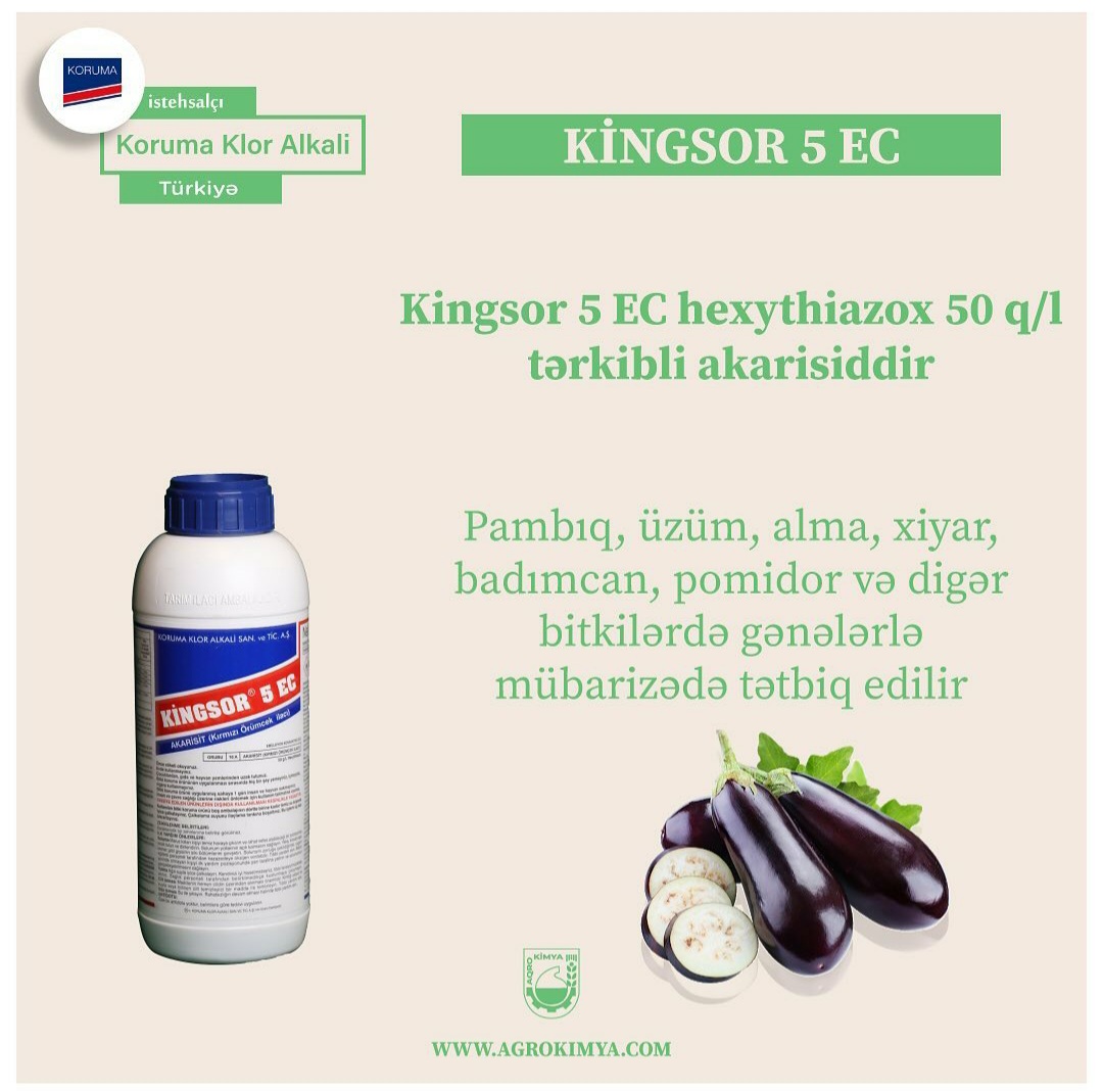 KİNGSOR 5 EC / TÜRKİYƏ / KORUMA KLOR ALKALI / litr / 1.00 litr - thumbnail 1