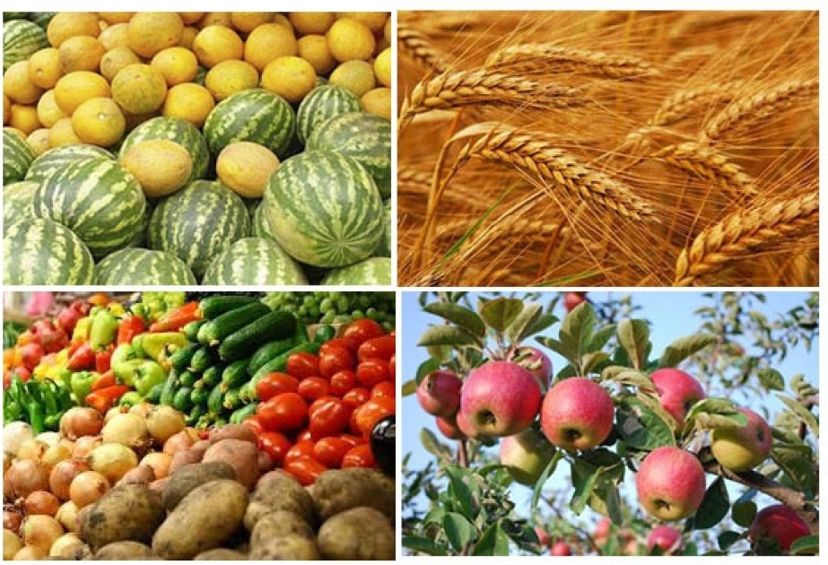 torpaq analizi-Agrolab Texniki və tərəvəz bitkiləri üçün torpağın məxsusi analizi(Geniş aqrokimyəvi analiz (makro,mezo,mikro elementlər); Qranulometrik analiz; Torpağın fitoekspertizası)