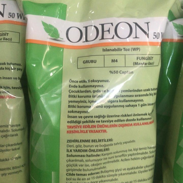 Odeon 50 WP / 0.8 kq