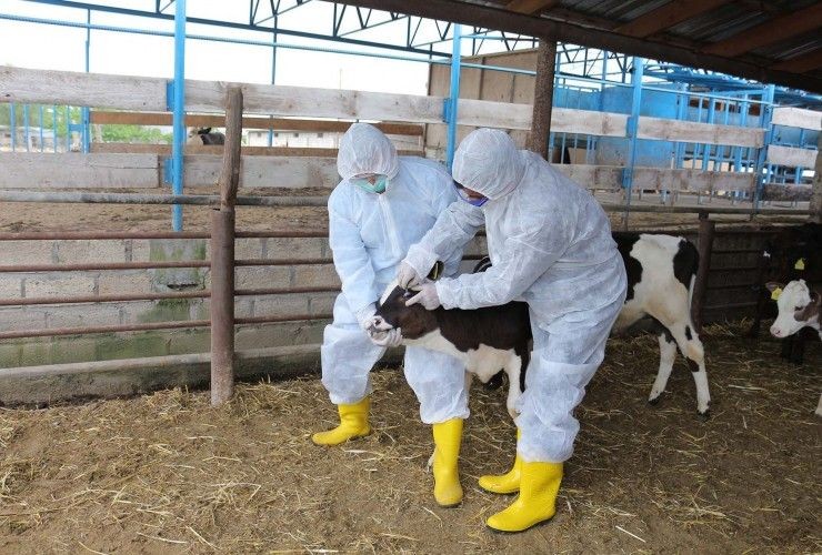 Profilaktik tədbirlərin planlaşdırılması və nəzarəti