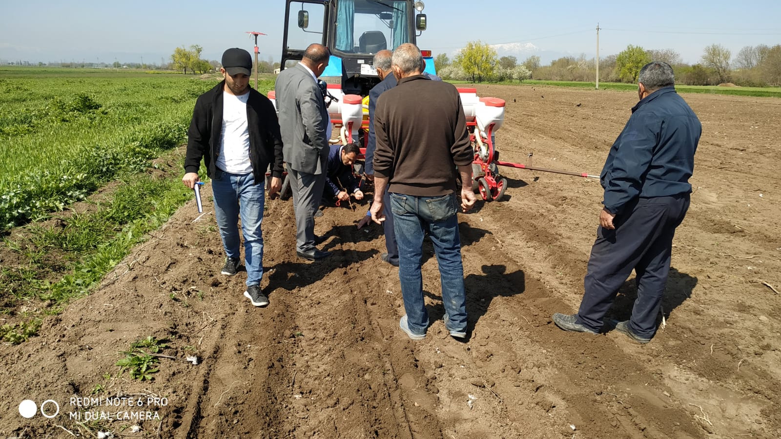 İstehsal prosesinin optimallaşdırılması(birillik bitkilər üzrə)