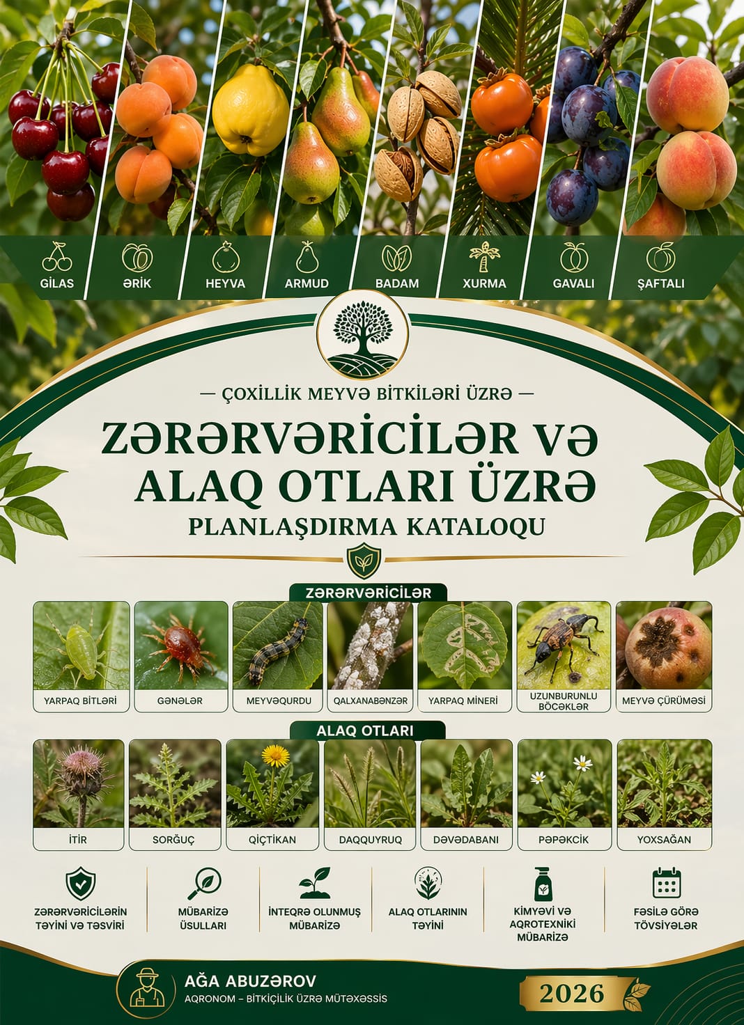 Zərərvericilərə və alaq otlarına qarşı mübarizə(çoxillik bitkilər üzrə)