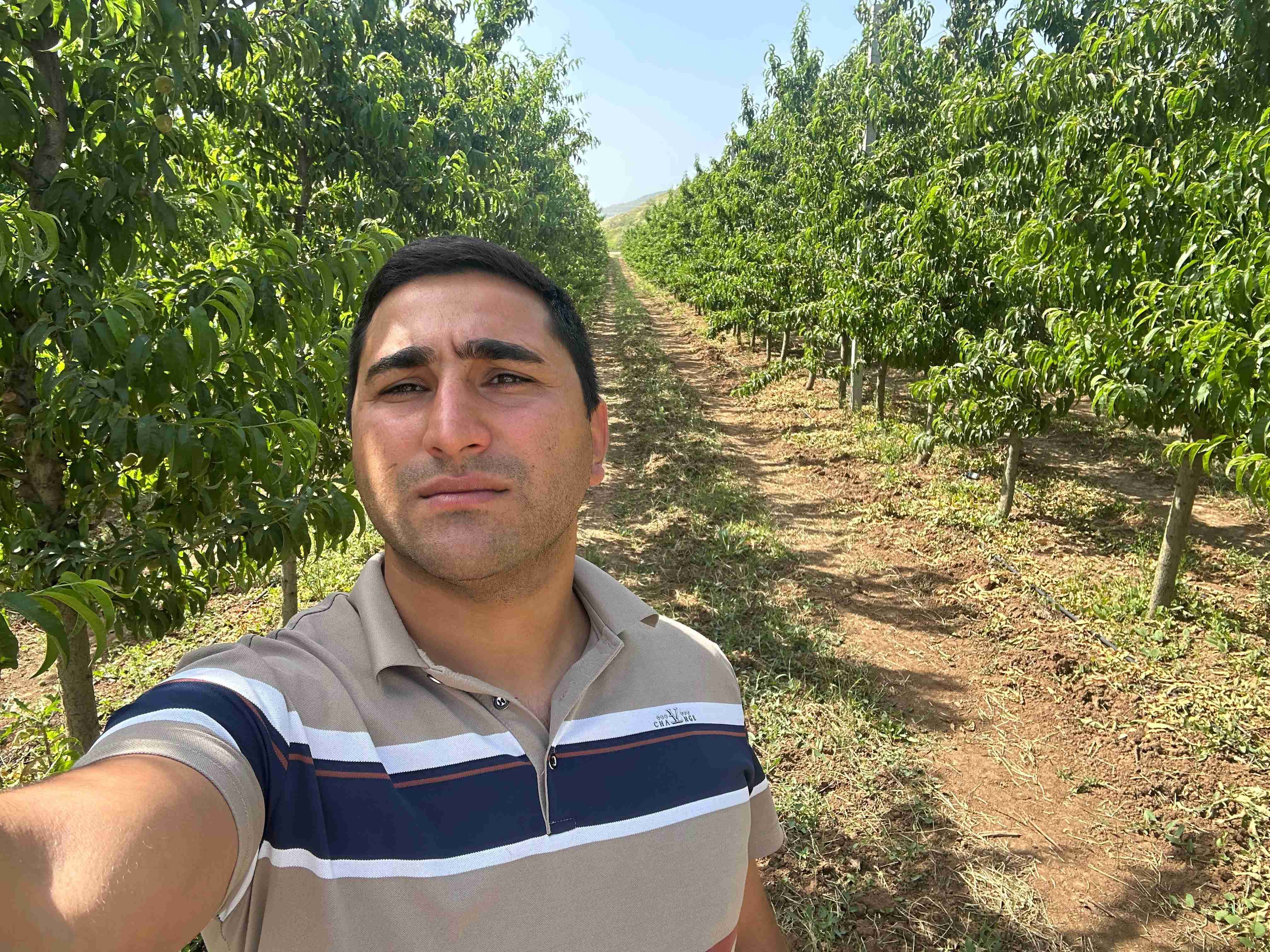 Məhsuldarlığın qiymətləndirilməsi və inkişaf planlaşdırılması(çoxillik bitkilər üzrə)