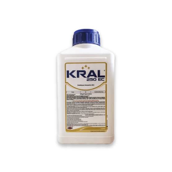 Kral EC / 0.25 kq - thumbnail 1