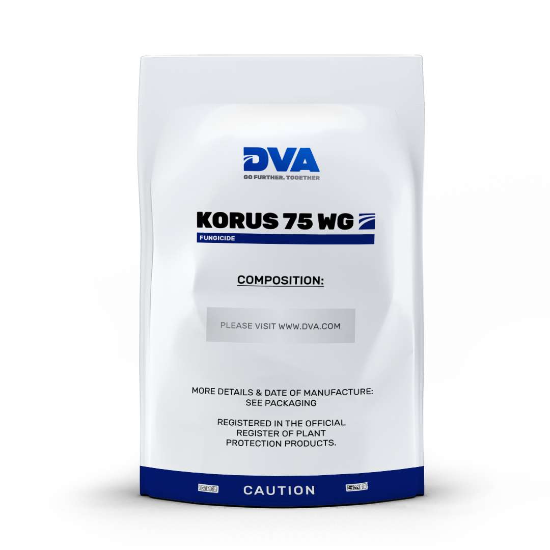 Korus     WG / 0.5 kq