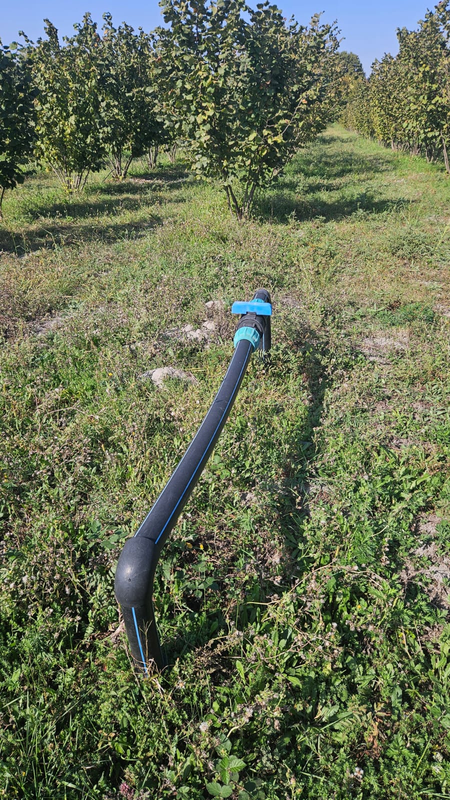 Damcı tipli suvarma sistemi / TOPCUOGLU PLASTİK - thumbnail 2