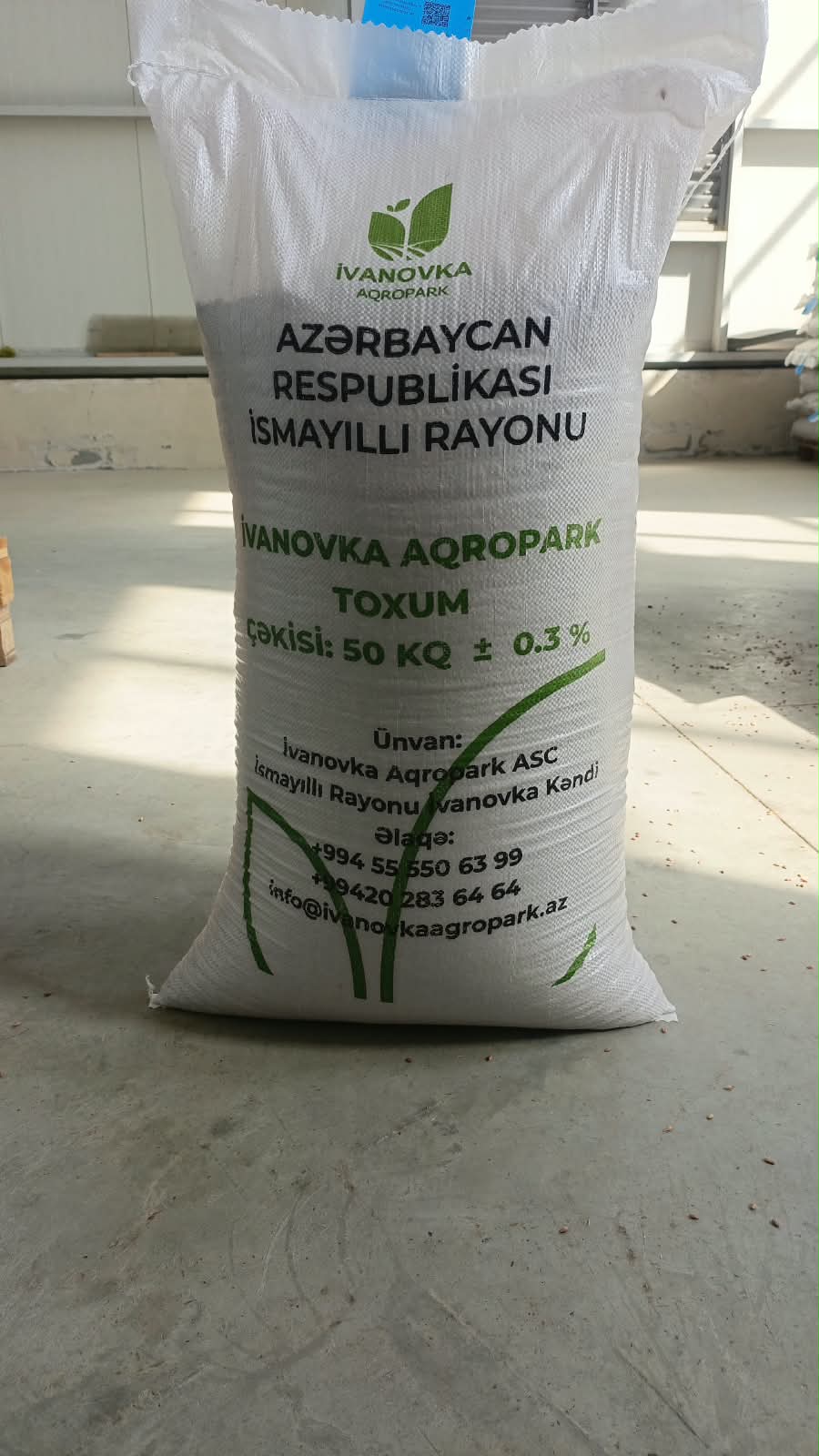 Tanya   Payızlıq yumşaq buğda Tezyetişən / R1 / 1 kq