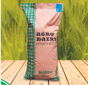 Gaudio ℗  Payızlıq yumşaq buğda Ortatezyetişən  / R1 / 1 kq