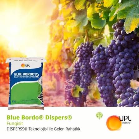 Blue Bordo Disperss WG-Fransa Respublikasının"Cerexagri S.A.S" / 1 kq