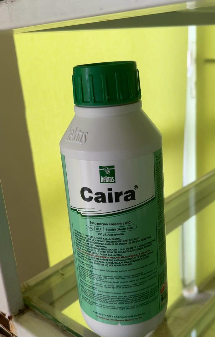 Caira-“Hektaş Ticaret T.A.Ş.” – Türkiyə / Hektaş / 1 litr
