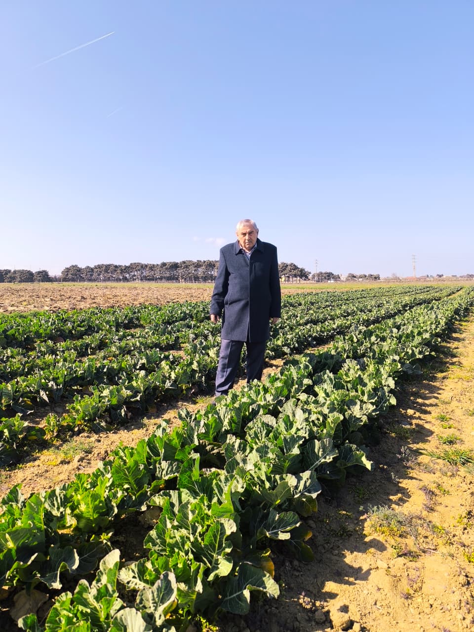 Əsgərov Əlamdar Tağı Oğlu